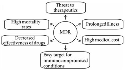 Overcoming Multidrug Resistance in Bacteria Through Antibiotics Delivery in Surface-Engineered Nano-Cargos: Recent Developments for Future Nano-Antibiotics